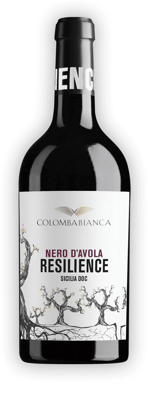 Colombabianca Nero d'Avola 2022 Resillience